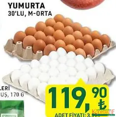 YUMURTA 30'LU M-ORTA fiyat ve kampanya bilgisi